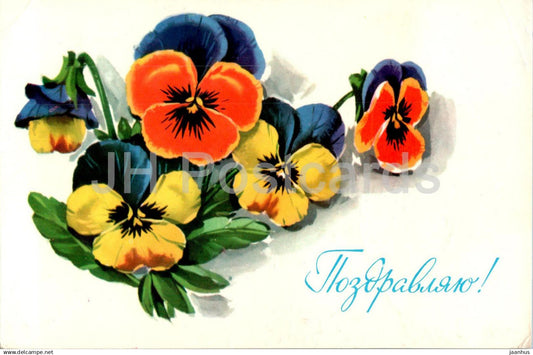 Birthday Greeting Card E. Kurtenko - Pansy Flowers - illustration - 1977 - Russia USSR - used - JH Postcards