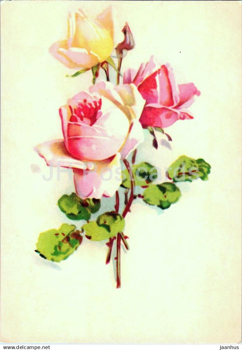 Birthday Greeting Card - Pink and Yellow Roses - flowers - illustration - 1973 - Estonia USSR - used - JH Postcards