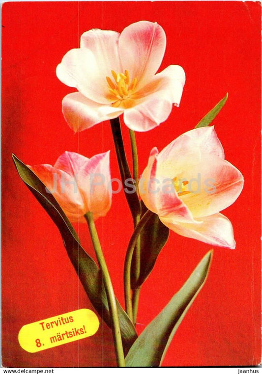 8 March Greeting Card - tulip - Flowers - postal stationery - 1987 - Estonia USSR - used - JH Postcards