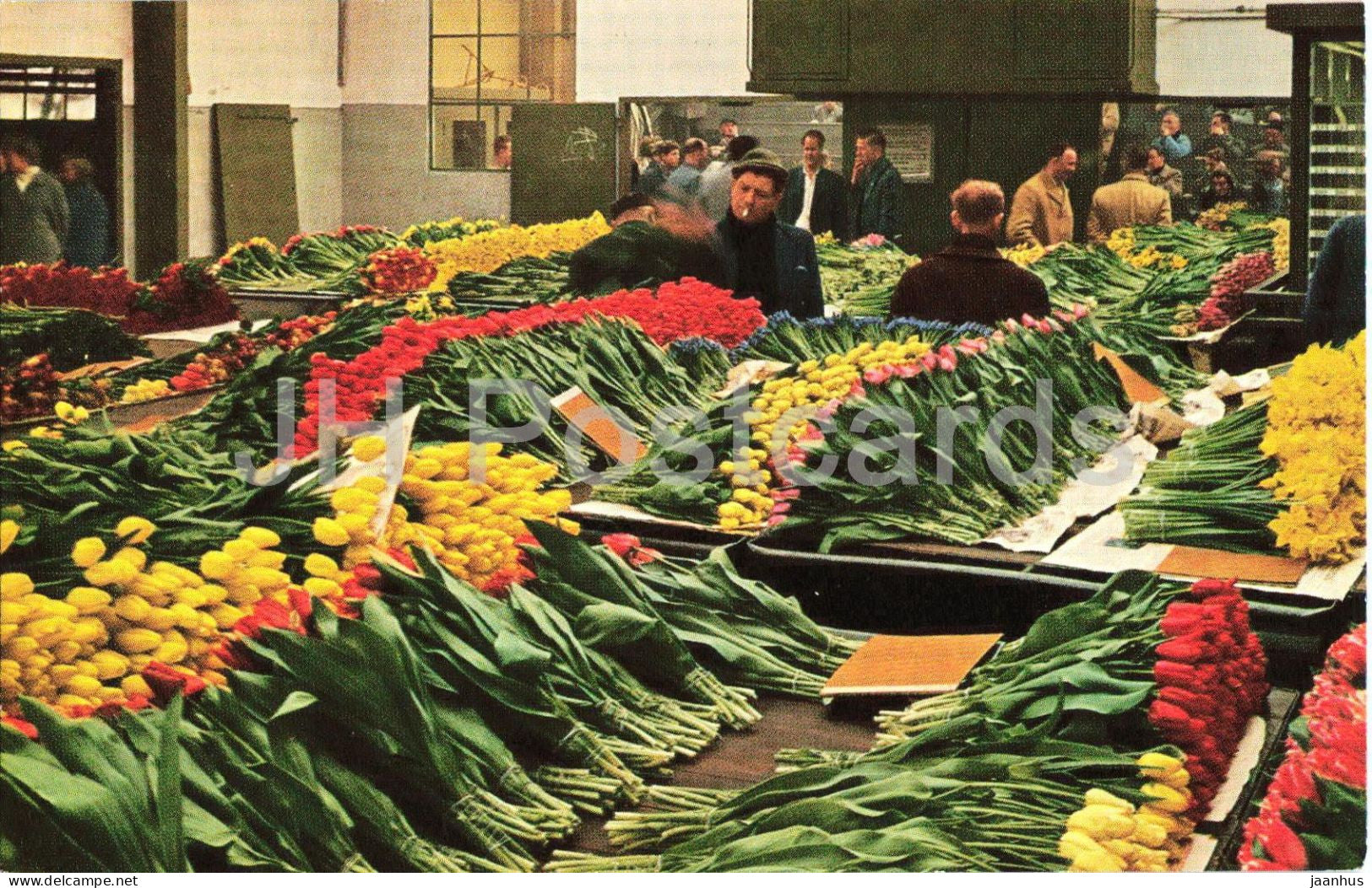 Aalsmeer - Interieur bloemenveiling - interior - flower auction] - flowers - Netherlands - unused - JH Postcards