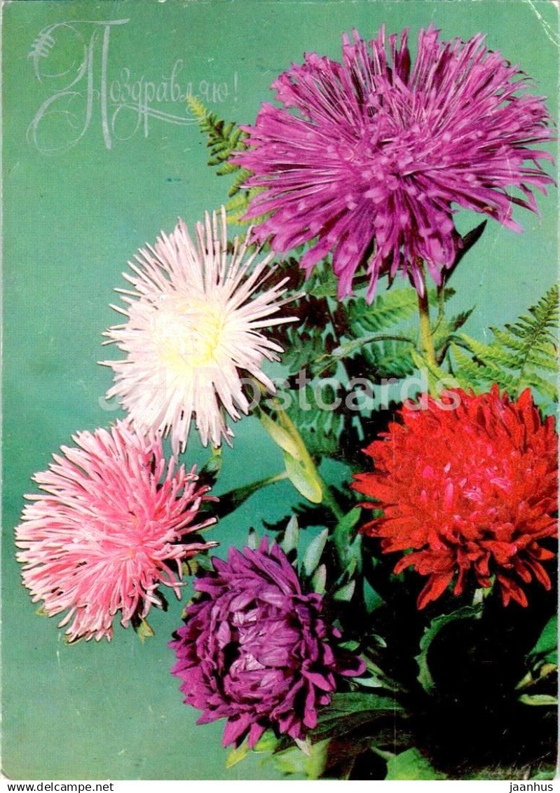 Birthday Greeting Card - Red Purple and Pink Chrysanthemum - Flowers - postal stationery AVIA 1980 - Russia USSR - used - JH Postcards