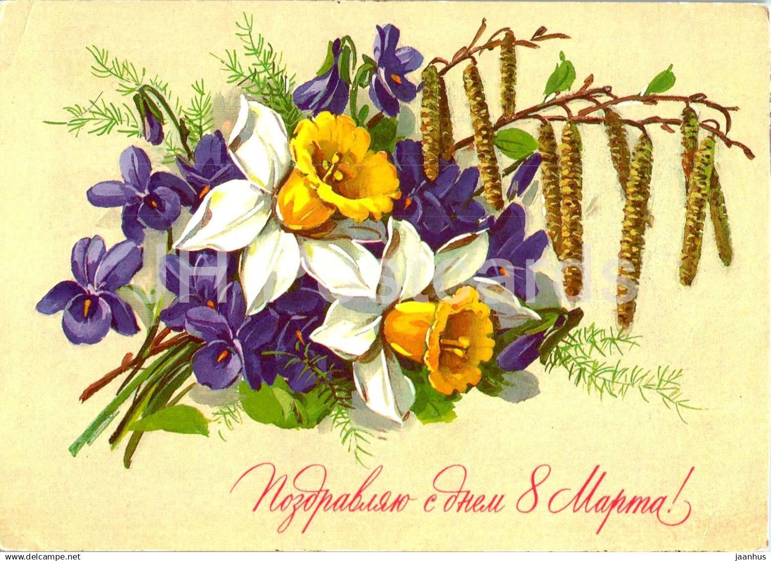 8 March Greeting Card by G. Kurtenko - Narcissus - Blue Flower - Flowers - postal stationery - 1985 - Russia USSR - used - JH Postcards