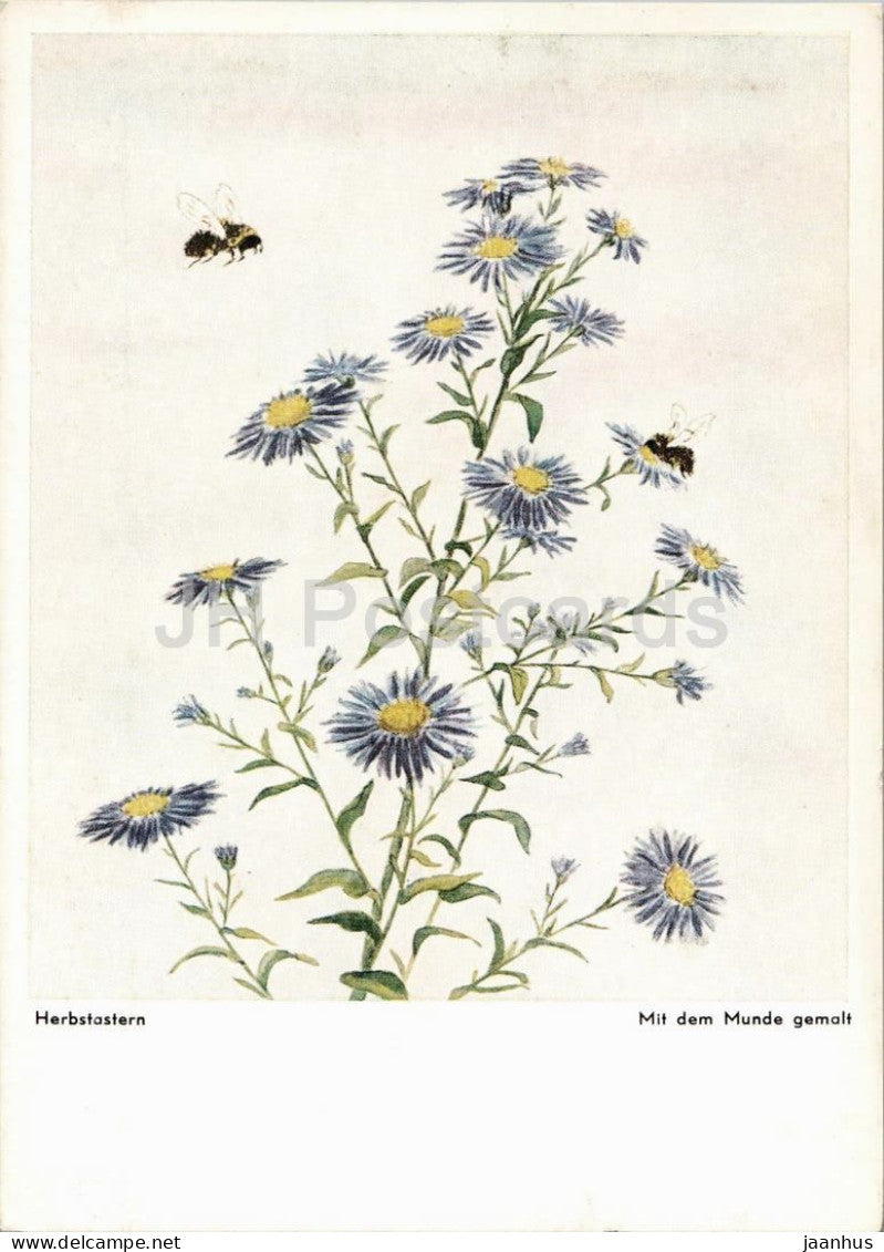 painting by R. de Vos - Autumn Asters - Herbstastern - flowers - mouth painting - bees - Austria - unused - JH Postcards