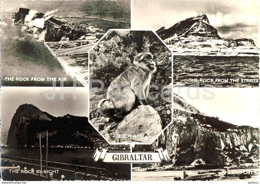 Gibraltar - rock ape - monkey - airport - multiview - Gibraltar - unused - JH Postcards