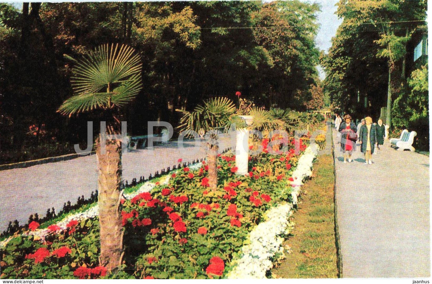 Odessa - Odesa - Arcadia - seaside park - promenade - flowers - palm trees - 1975 - Ukraine USSR - unused - JH Postcards