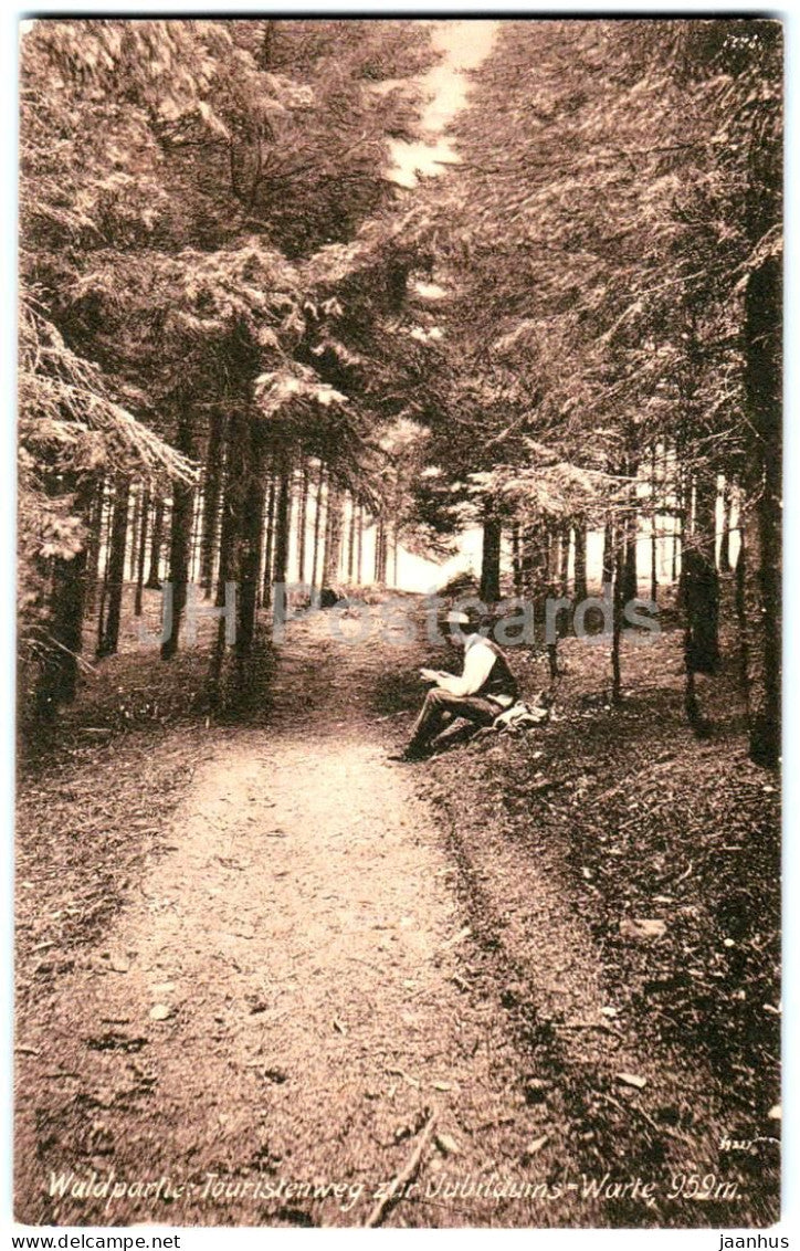 Waldpartie - Touristenweg zur Jubilaums Warte 959 m - forest path - old postcard - Austria - used - JH Postcards