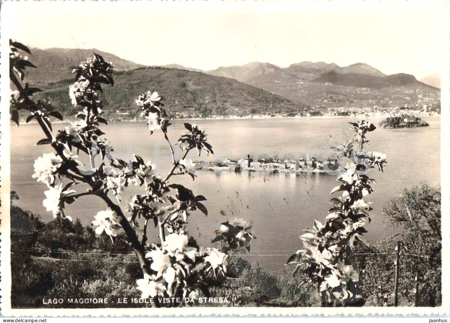 Lago Maggiore - Le Isole viste da Stresa - lake - Borromean Islands - 210 - old postcard - 1947 - Italy - used - JH Postcards