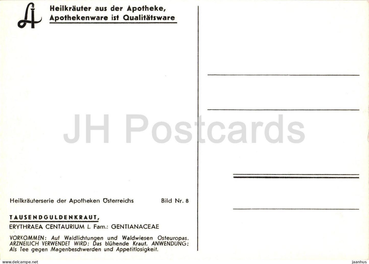 Common Centaury - Centaurium erythraea - Tausendguldenkraut - medicinal herbs - Austria - unused