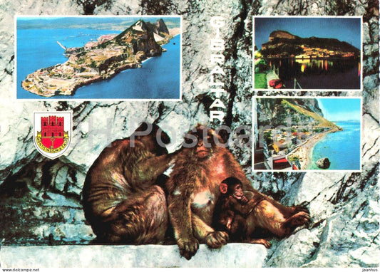 Gibraltar - monkey - aerial view - night view - beach - coat of arms - multiview - 988/63 - Gibraltar - unused - JH Postcards