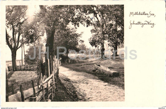 Millstatter See - Schattiger Weg - path - trees - countryside - 1930s - Austria - used - JH Postcards