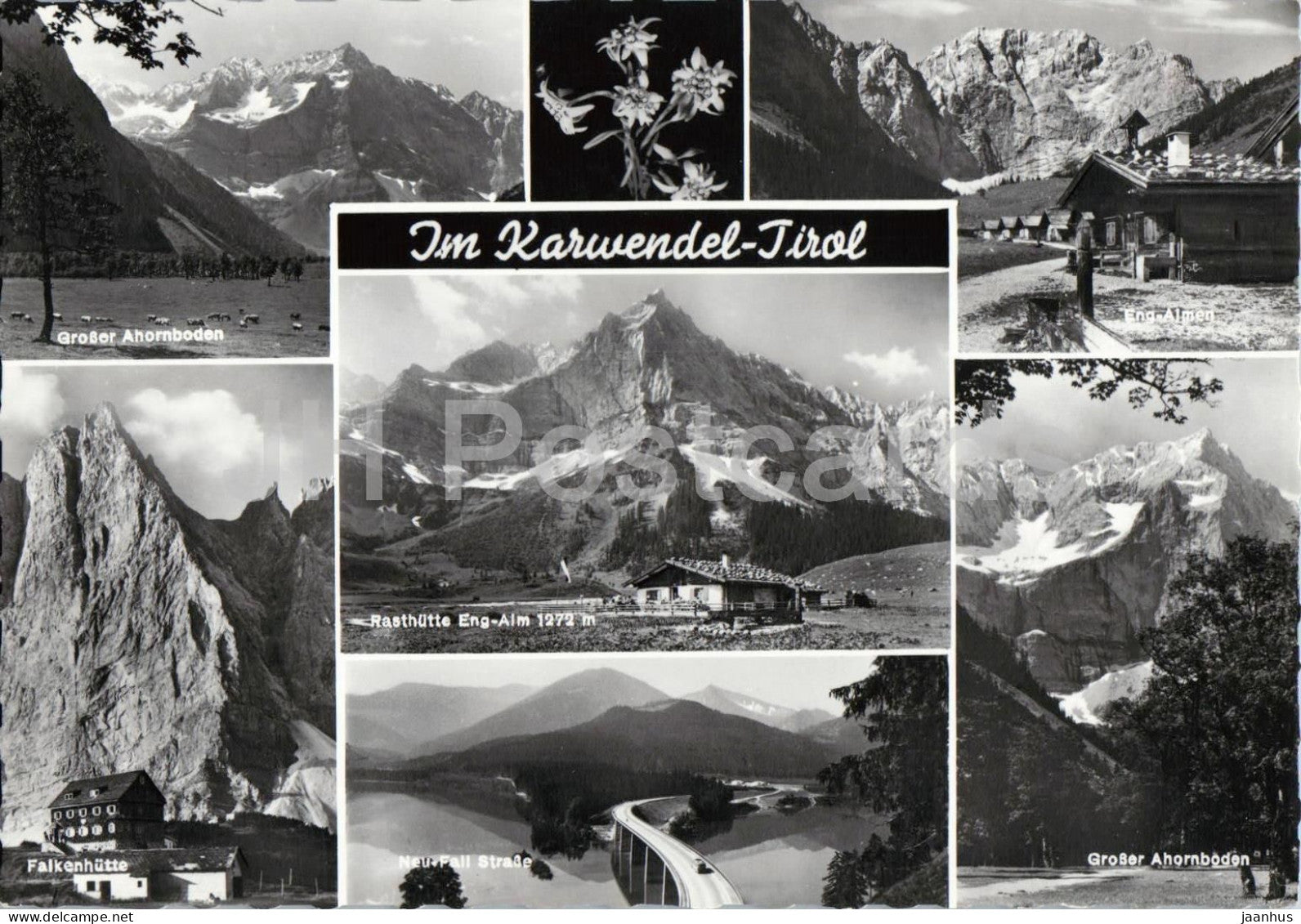 Im Karwendel - Tirol - multiview - alpine landscape - hut - mountain - flowers - 813 - old postcard - Austria - unused - JH Postcards