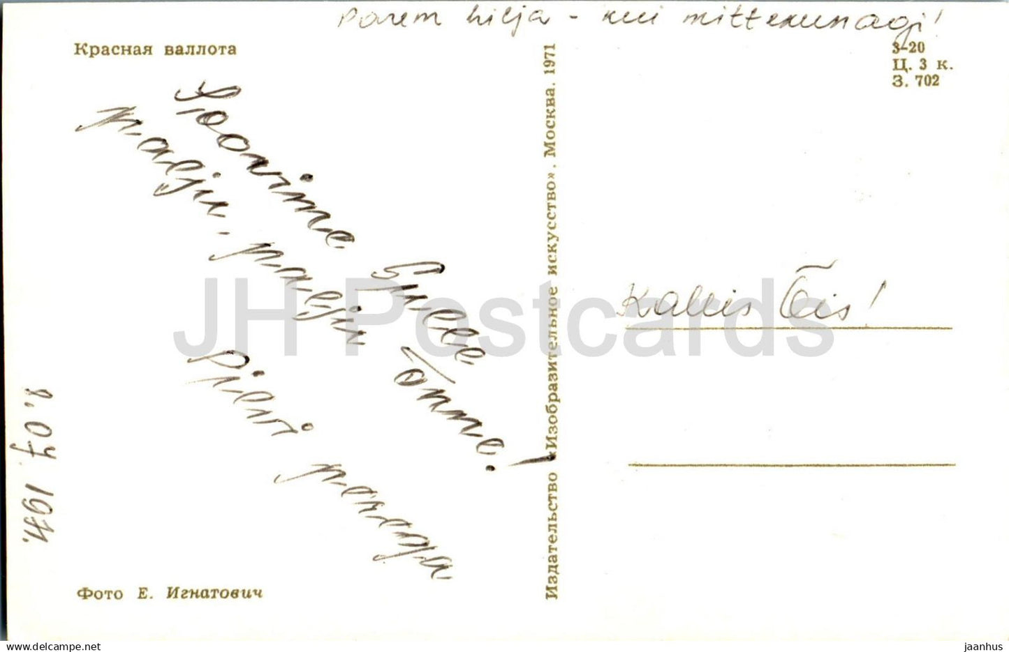 Red Vallota - flowers - 1971 - Russia USSR - used