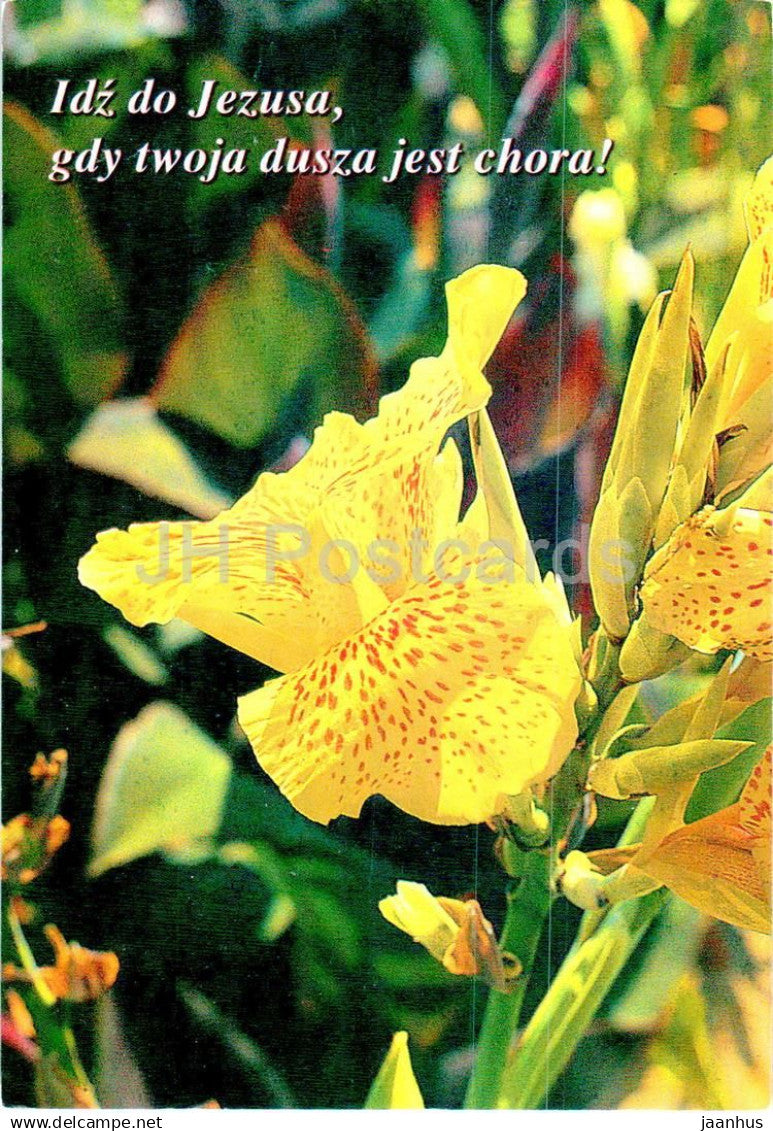 Birthday Greeting Card - Yellow Iris - flowers - KSS 7 - Poland - unused - JH Postcards