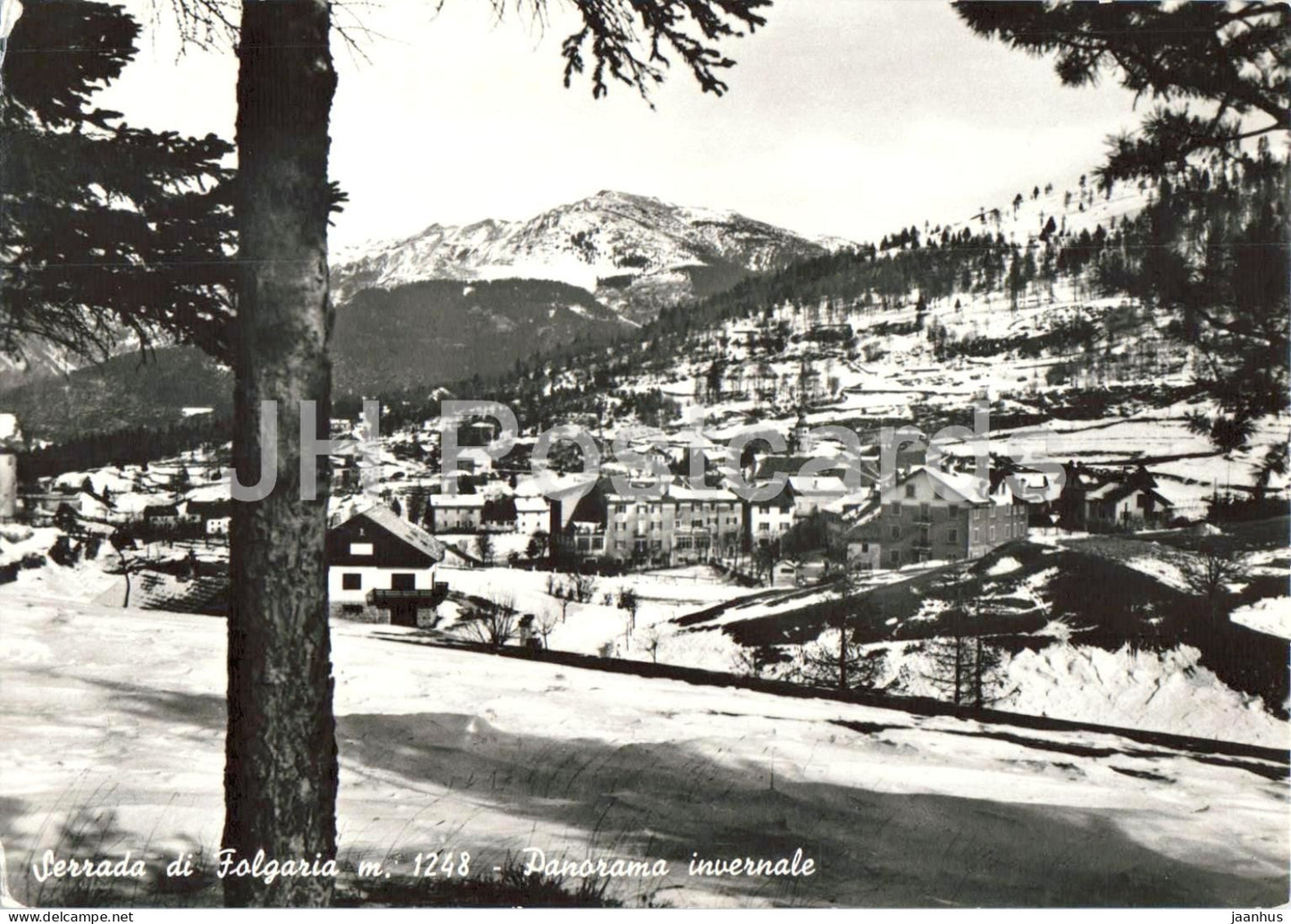 Serrada di Folgaria m. 1248 - Panorama invernale - Alps - mountains - village - old postcard - Italy - unused - JH Postcards