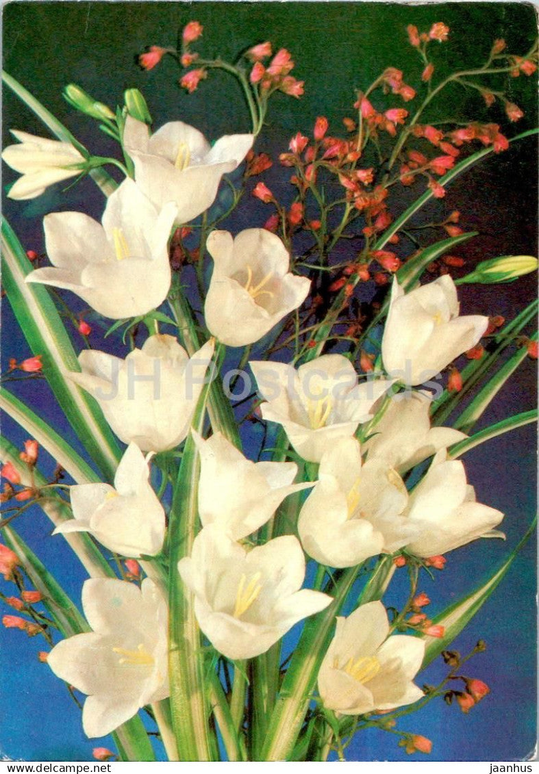 Birthday Greeting Card - White Tulips - flowers - postal stationery - 1989 - Russia USSR - used - JH Postcards