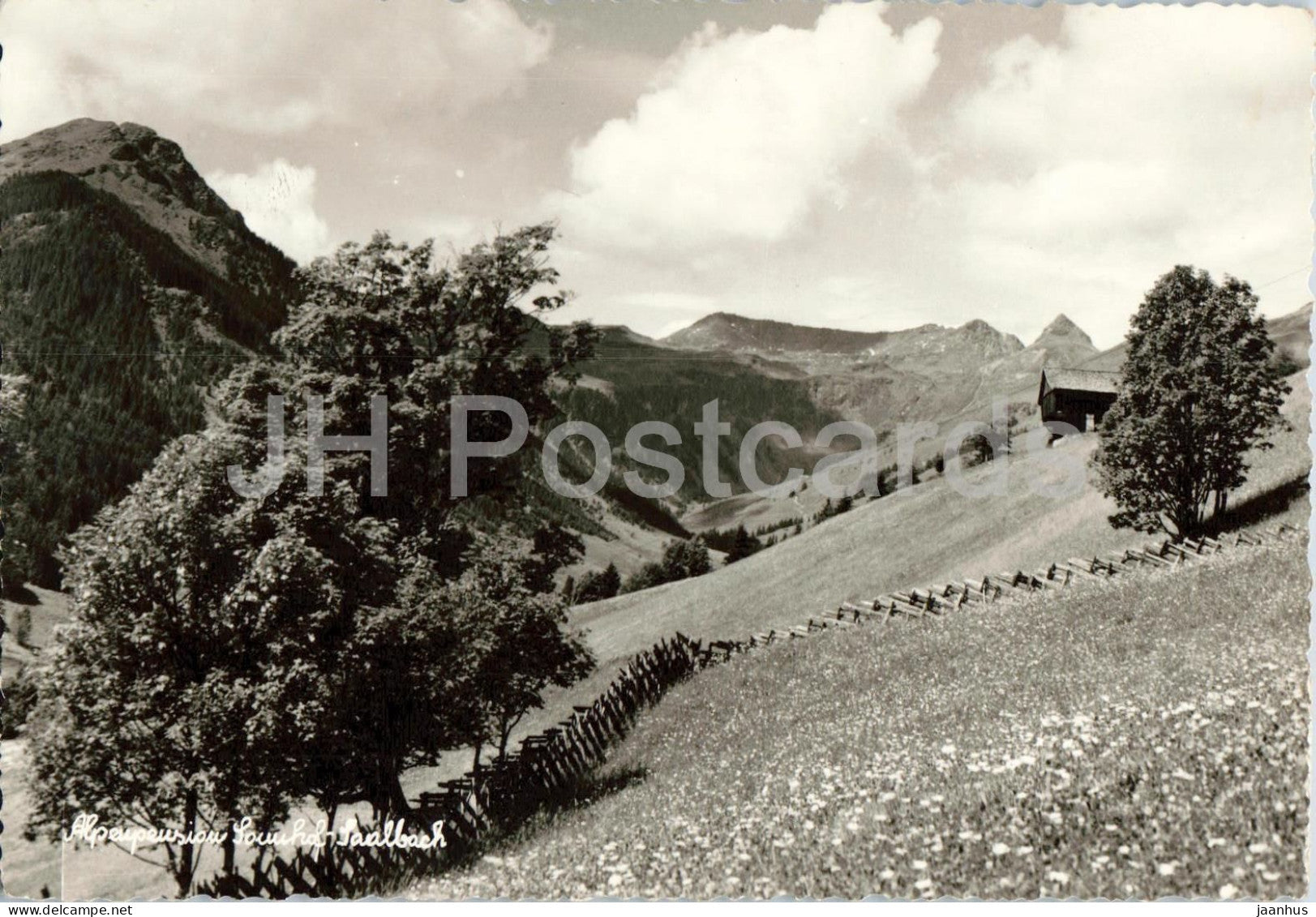 Alpenpension Sonnhof Saalbach - alpine meadow - farmhouse - 2681 - old postcard - Austria - unused - JH Postcards