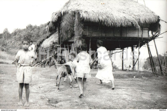 Local children in a village timber and thatch dwelling - Pacific region ? Fiji ? or Philippines ? - old postcard unused - JH Postcards
