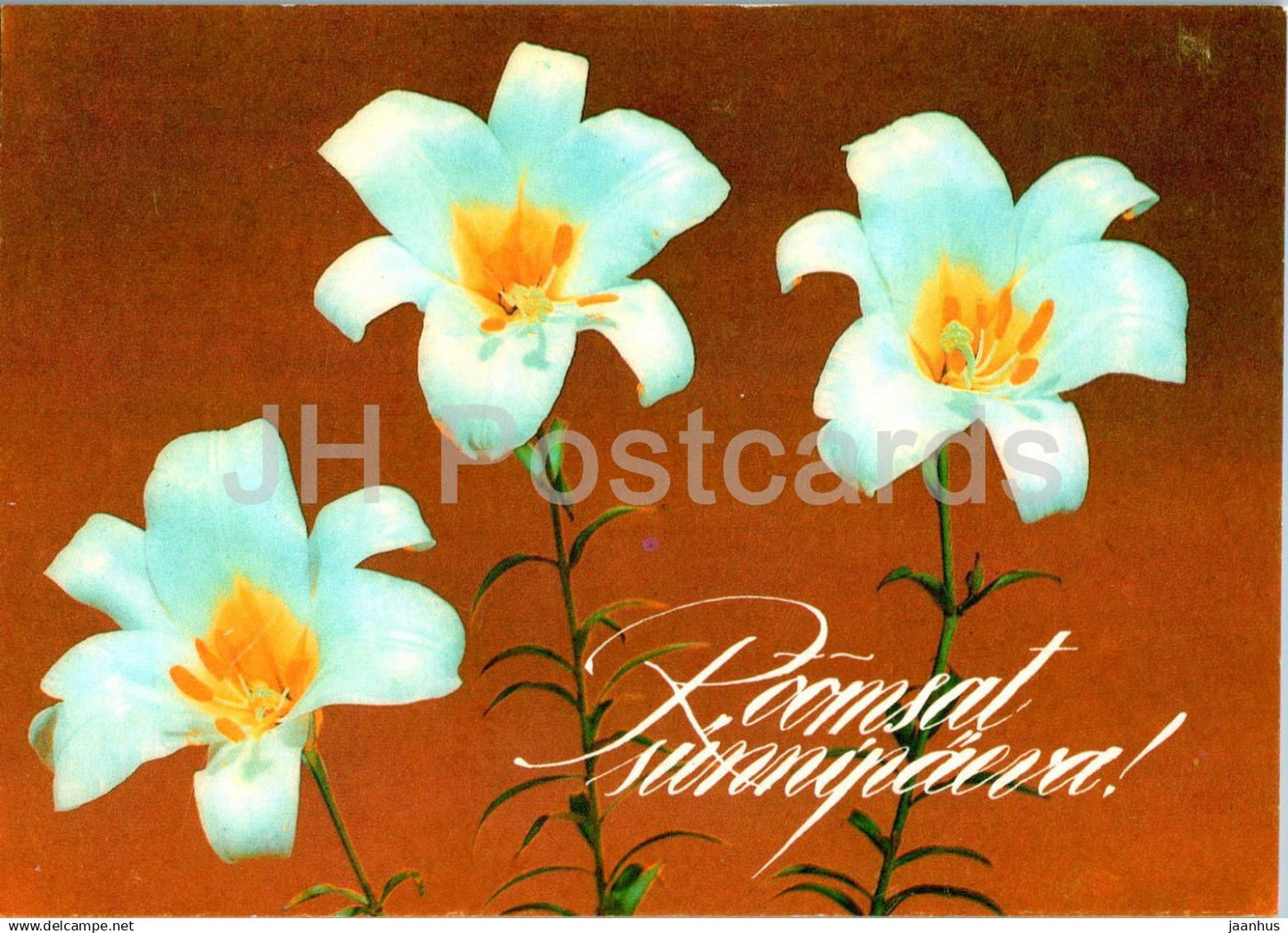 Birthday Greeting Card - White Lily - flowers - 1993 - Estonia - used - JH Postcards