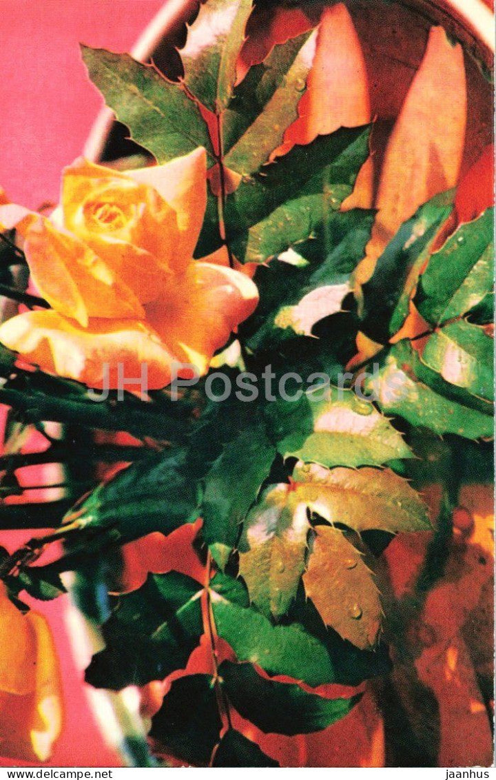 Gloria Dei roses - rose - flower arrangement - botanical - 1979 - Moldova - USSR - unused - JH Postcards
