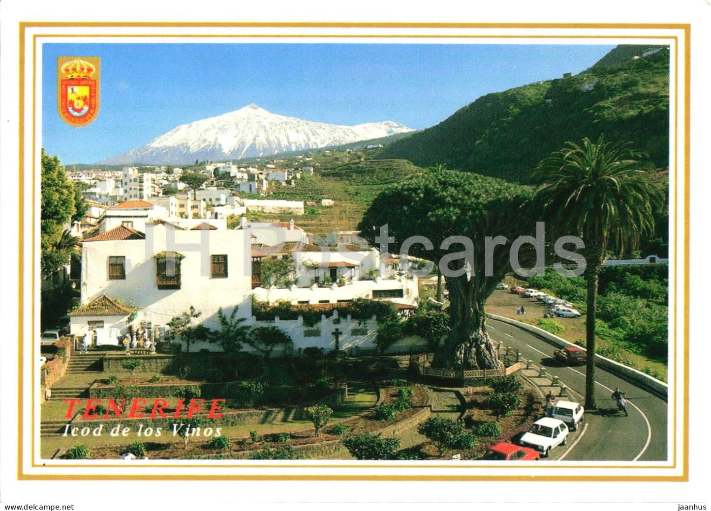 Islas Canarias - Icod de los Vinos - Drago Milenario - Tenerife - Canary Islands - volcano - 282 - 1990s - Spain - used - JH Postcards