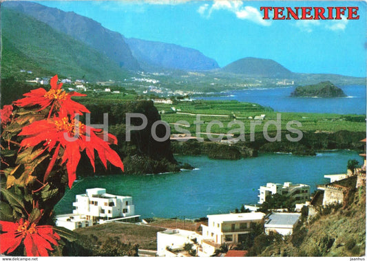 Islas Canarias - Icod de Los Vinos - Isla Baja - desde de la Cra  de San Marcos - view - 3101 - 1979 - Spain - used - JH Postcards