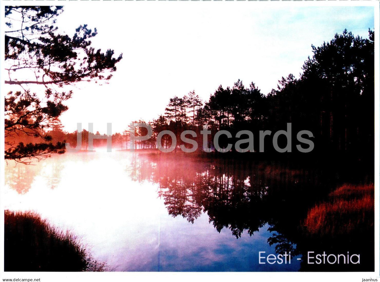 The Suru Bog - 2000s - Estonia - unused - JH Postcards