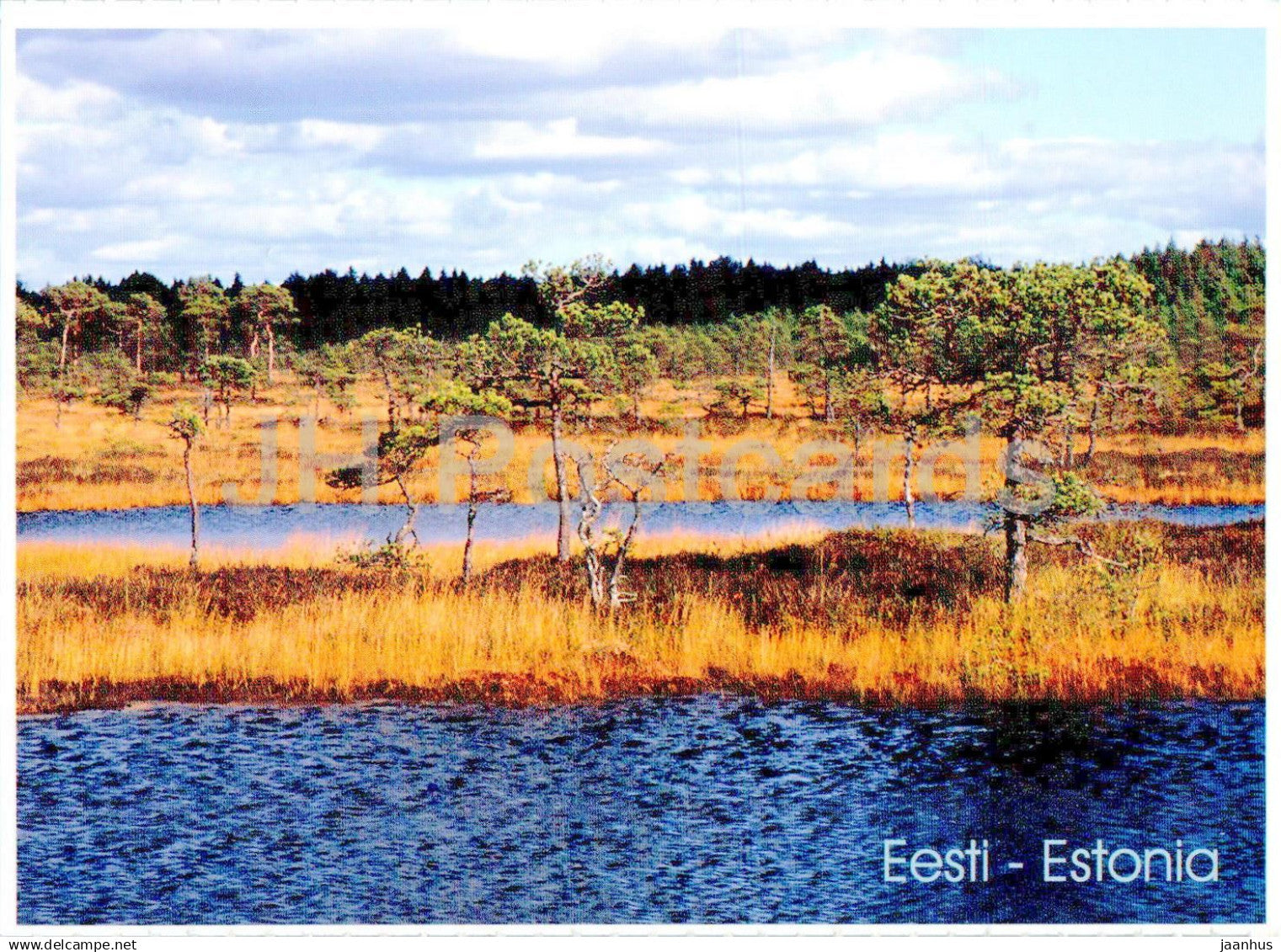 Hupassaare - Kuresoo bog - 2000s - Estonia - unused - JH Postcards