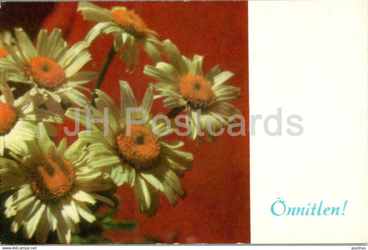 Birthday Greeting Card - Daisy - flowers - 1975 - Estonia USSR - used - JH Postcards