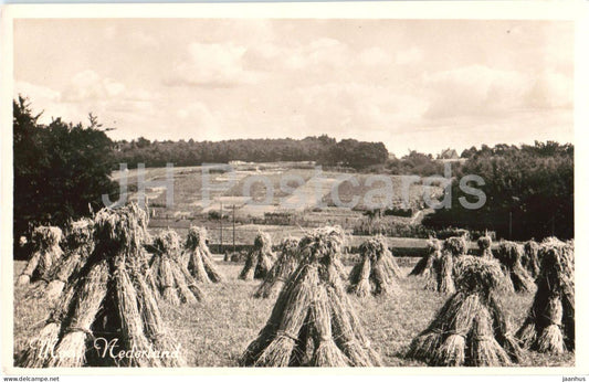 Netherlands fields - rural landscape harvest fields - 1049 - old postcard - Netherlands - unused - JH Postcards