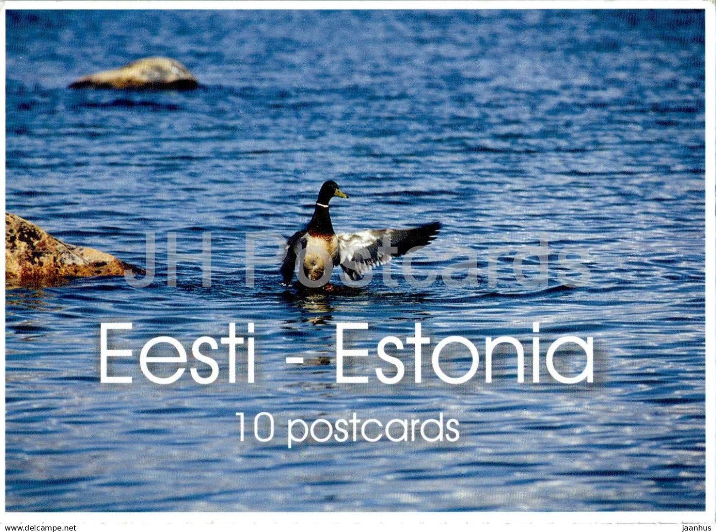 Estonian Western Coast - sea - bird - 2000s - Estonia - unused - JH Postcards