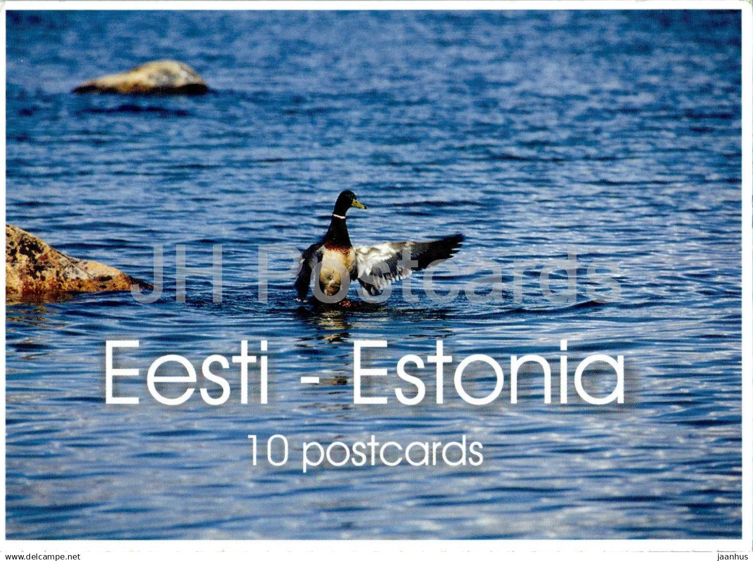 Estonian Western Coast - sea - bird - 2000s - Estonia - unused - JH Postcards