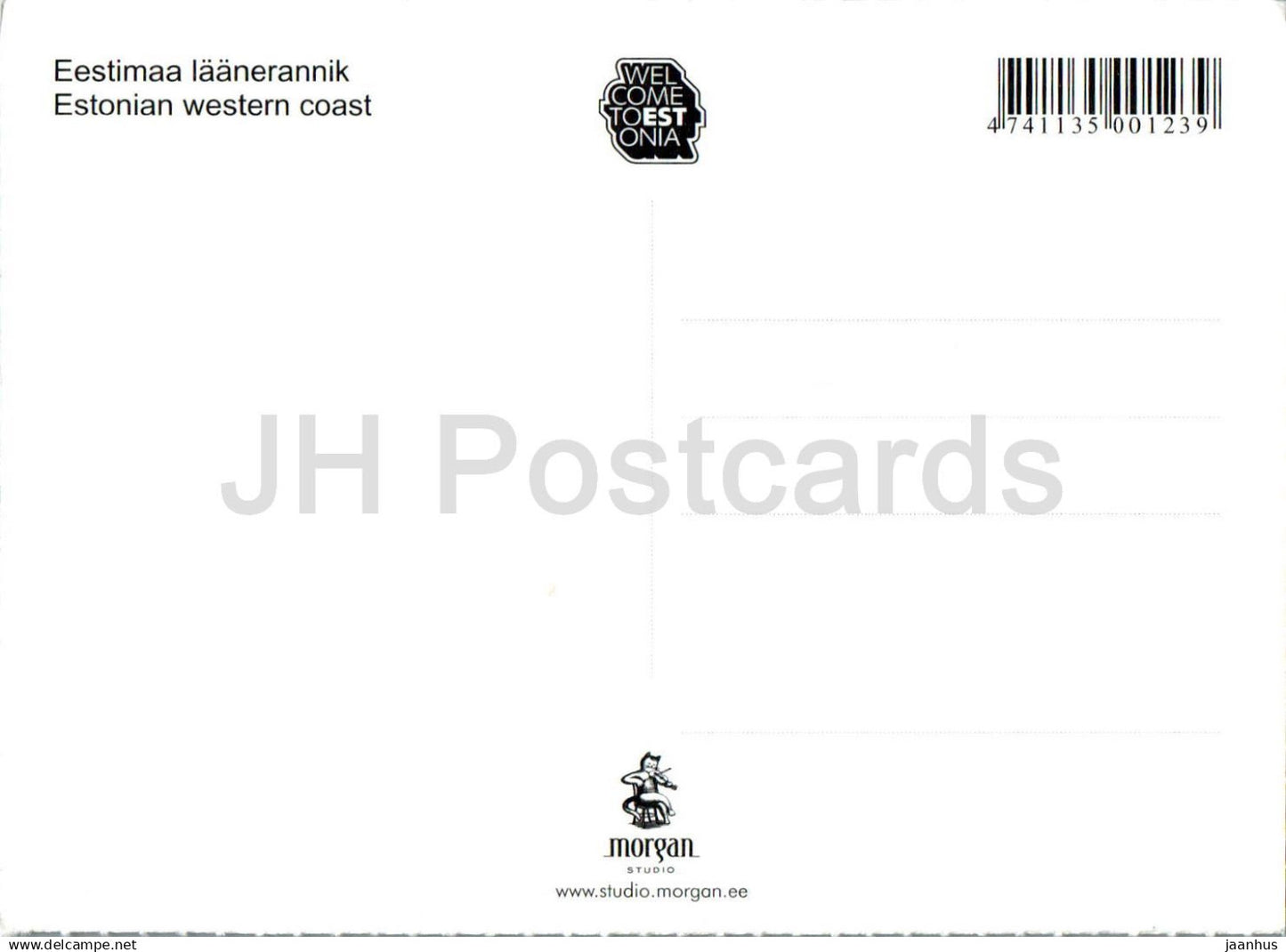 Côte ouest estonienne - mer - oiseau - années 2000 - Estonie - inutilisé 