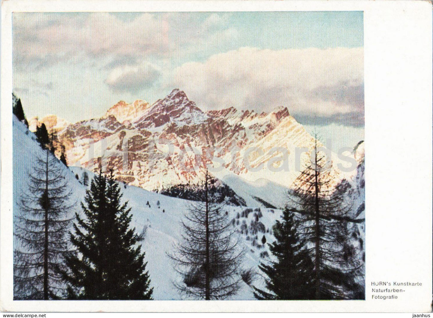Alpen - Alps - Horn Kunstkarten - 1302 - Germany - unused - JH Postcards