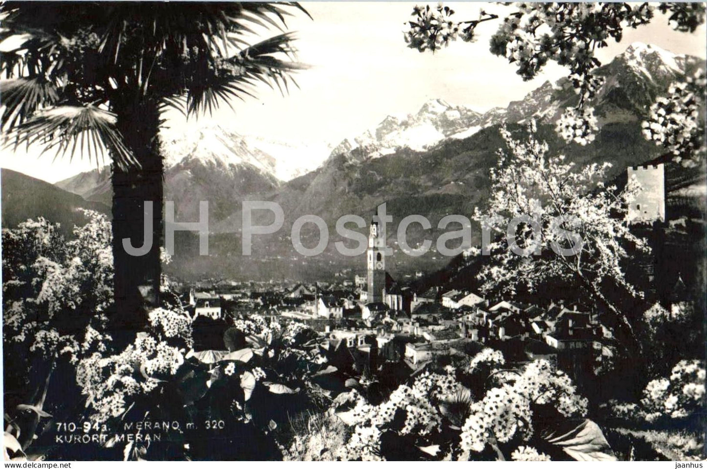 Merano m. 320 - Kurort Meran - alpine town - panorama - Alps - mountains - 710-94 - old postcard - 1950s - Italy - used - JH Postcards