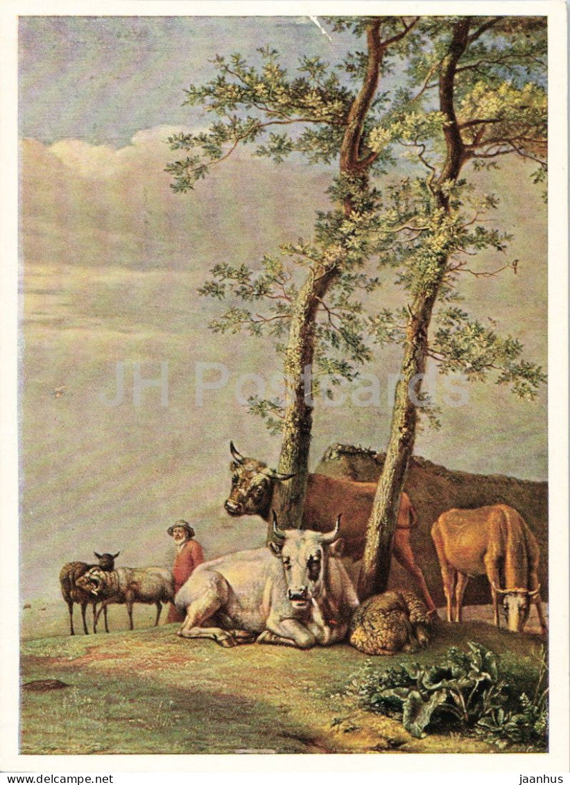 painting by Paulus Potter - Cattle in the Pasture - Kuhe auf der Weide cows - sheep - Dutch art - 1961 - Germany - used - JH Postcards
