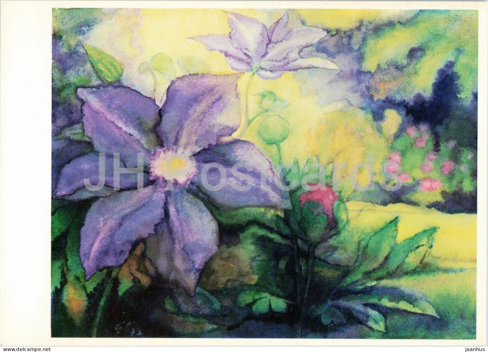 painting by Hans Geissberger - Clematis - flowers - Swiss art - Switzerland - unused - JH Postcards