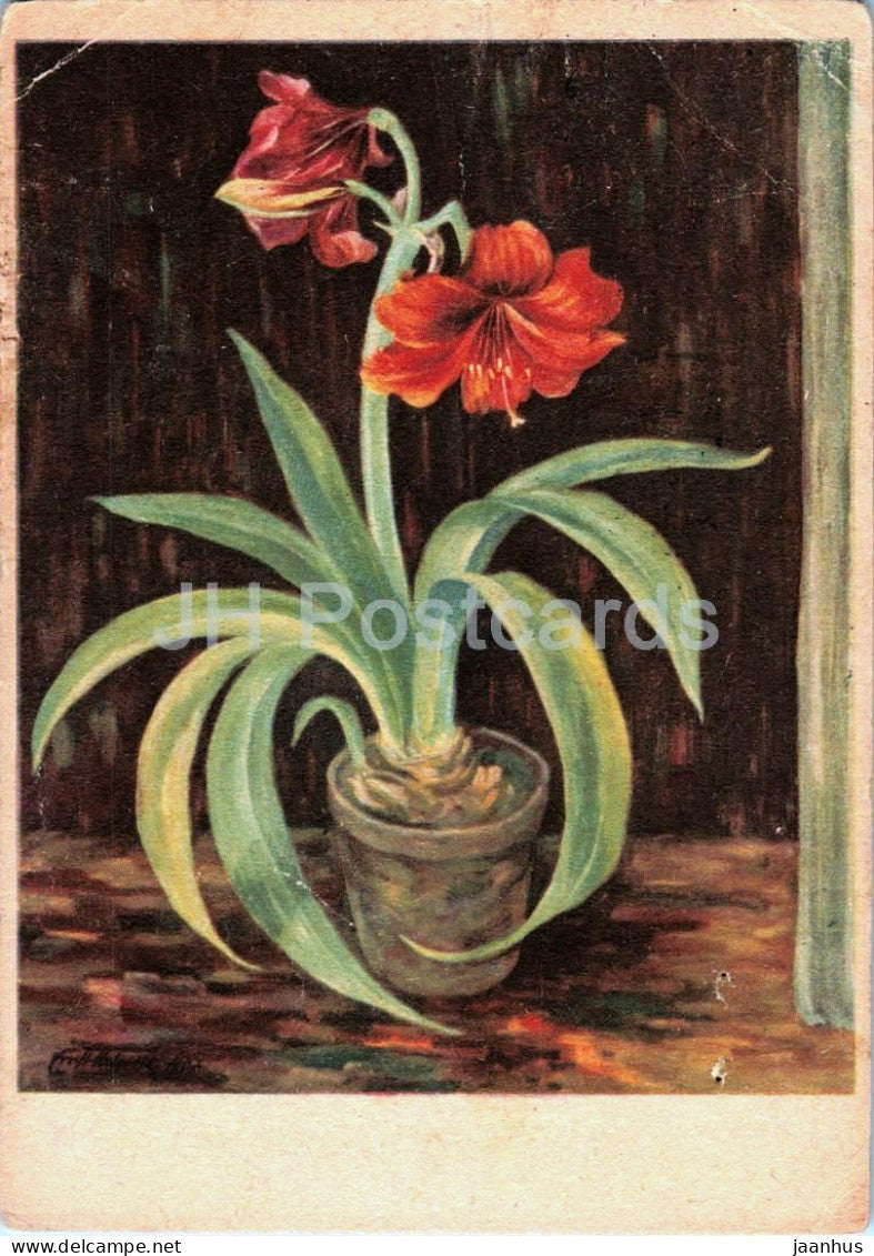 painting by Ernst Thieme - Amaryllis - flowers - German art - old postcard - 1950 - Germany - used - JH Postcards