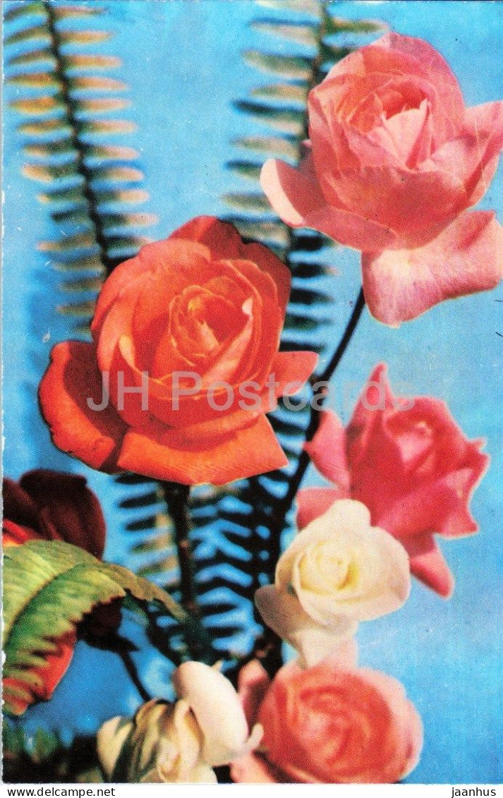 Queen Elizabeth Super Star Virgo Clementina roses - flower arrangement - botanical - 1979 - Moldova - USSR - unused - JH Postcards