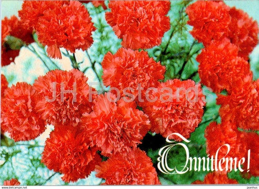 Birthday Greeting Card - Red Carnation - flowers - 1990 - Estonia USSR - used - JH Postcards