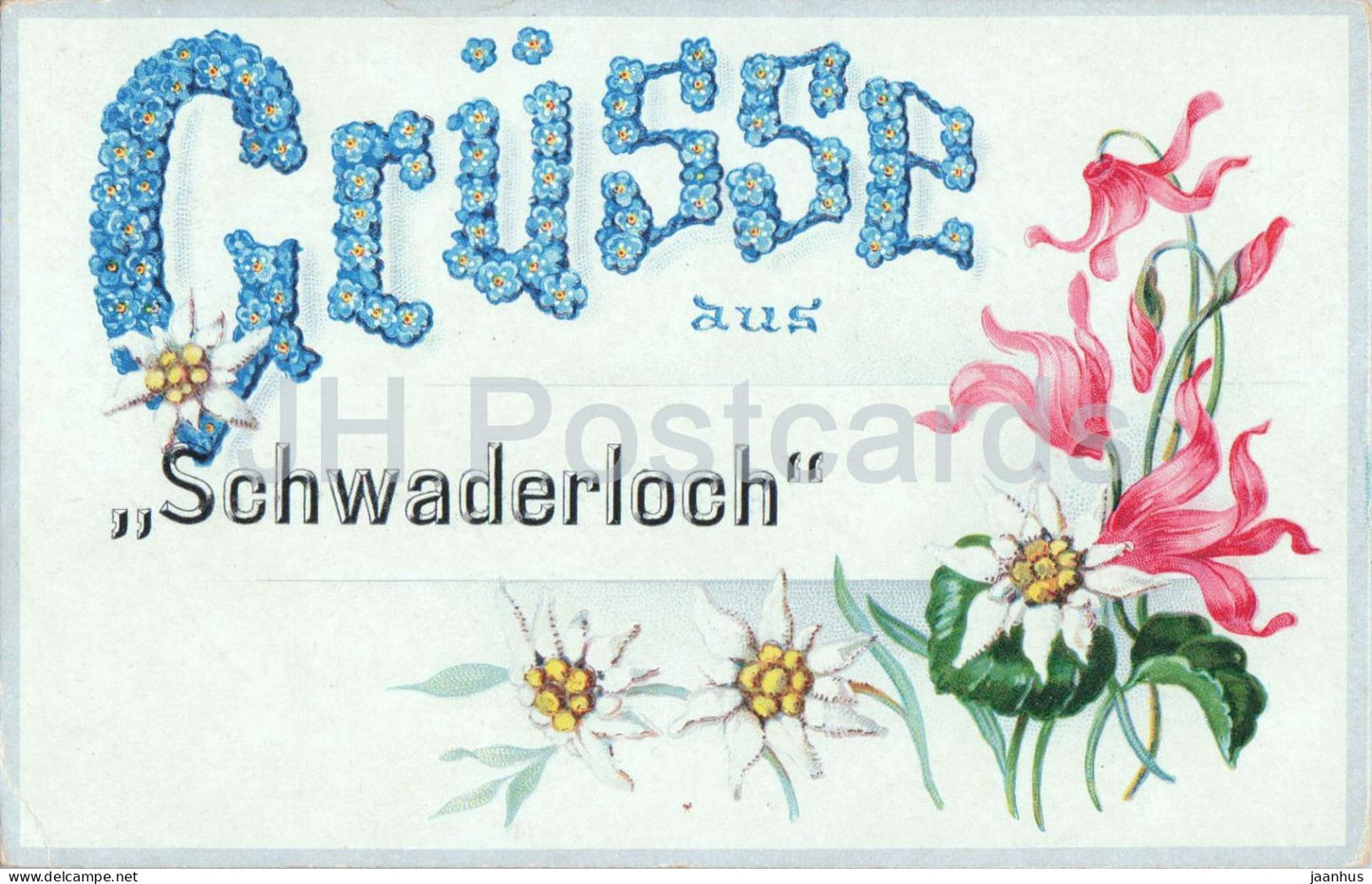 Grusse aus Schwaderloch - Edelweiss - alpine flowers - old postcard - 1919 - Switzerland - used - JH Postcards
