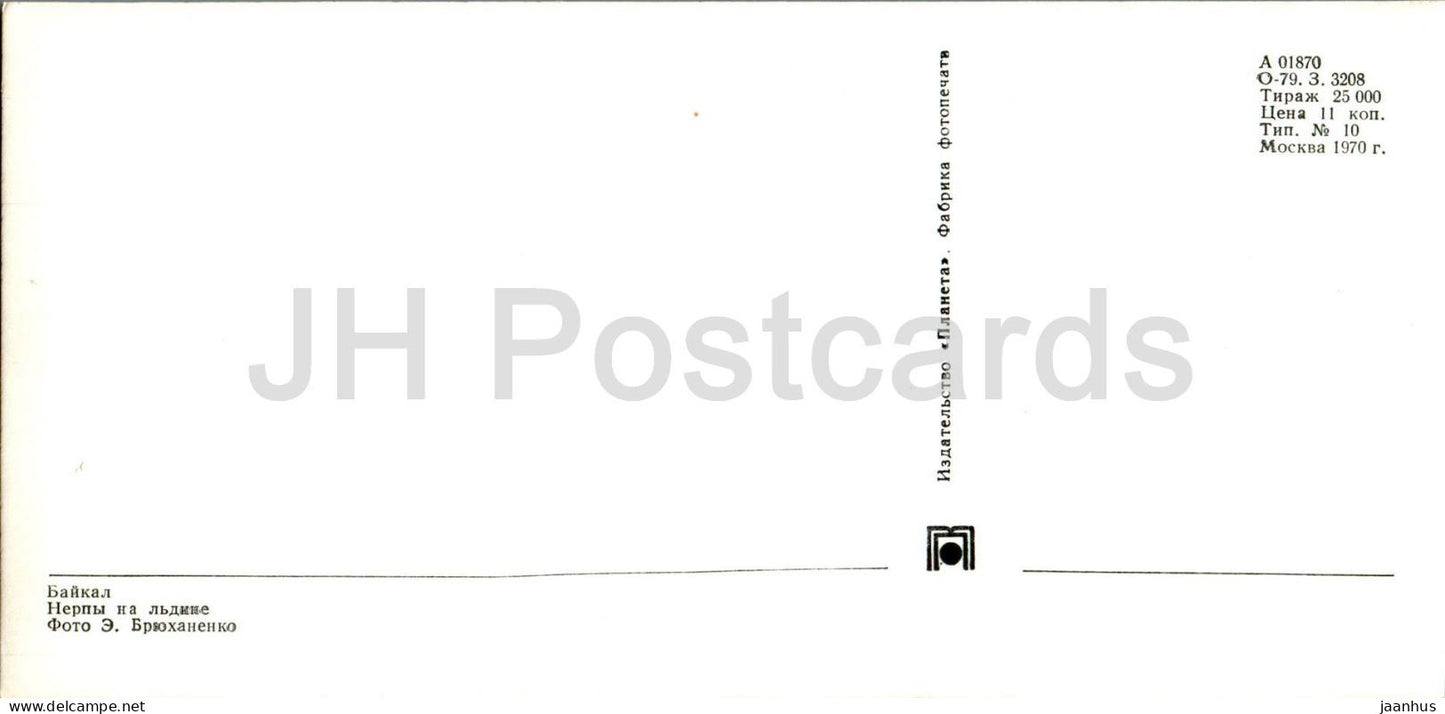 Lake Baikal - Seals on the ice - animals - 1970 - Russia USSR - unused