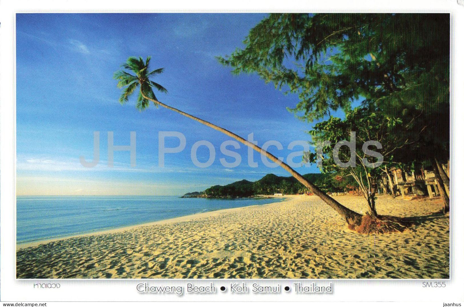 Chaweng Beach - Koh Samui - beach - palm tree - island - Thailand - used - JH Postcards