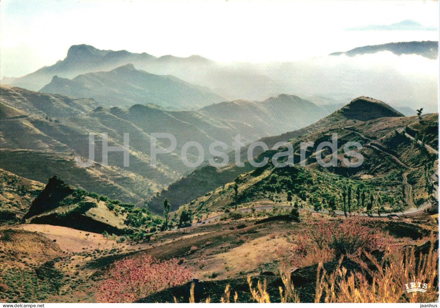 Contra luz sobre Tamadaba - counterlight - mountains - landscape - valley sunset - 10091 - 1984 - Spain - unused - JH Postcards