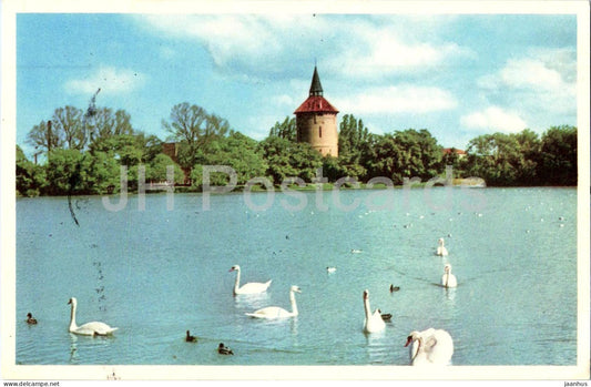Malmo - Motiv fran Pildammarna - Motif from Pildammarna - lake - swans - 187 - old postcard - 1959 - Sweden - used - JH Postcards