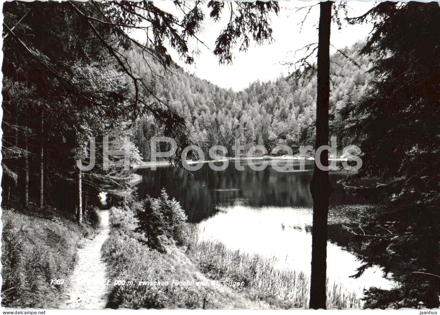 Fuschlsee zwischen Fuschl und St. Gilgen - lake - forest - alpine path - nature - 7389 - old postcard - Austria - unused - JH Postcards