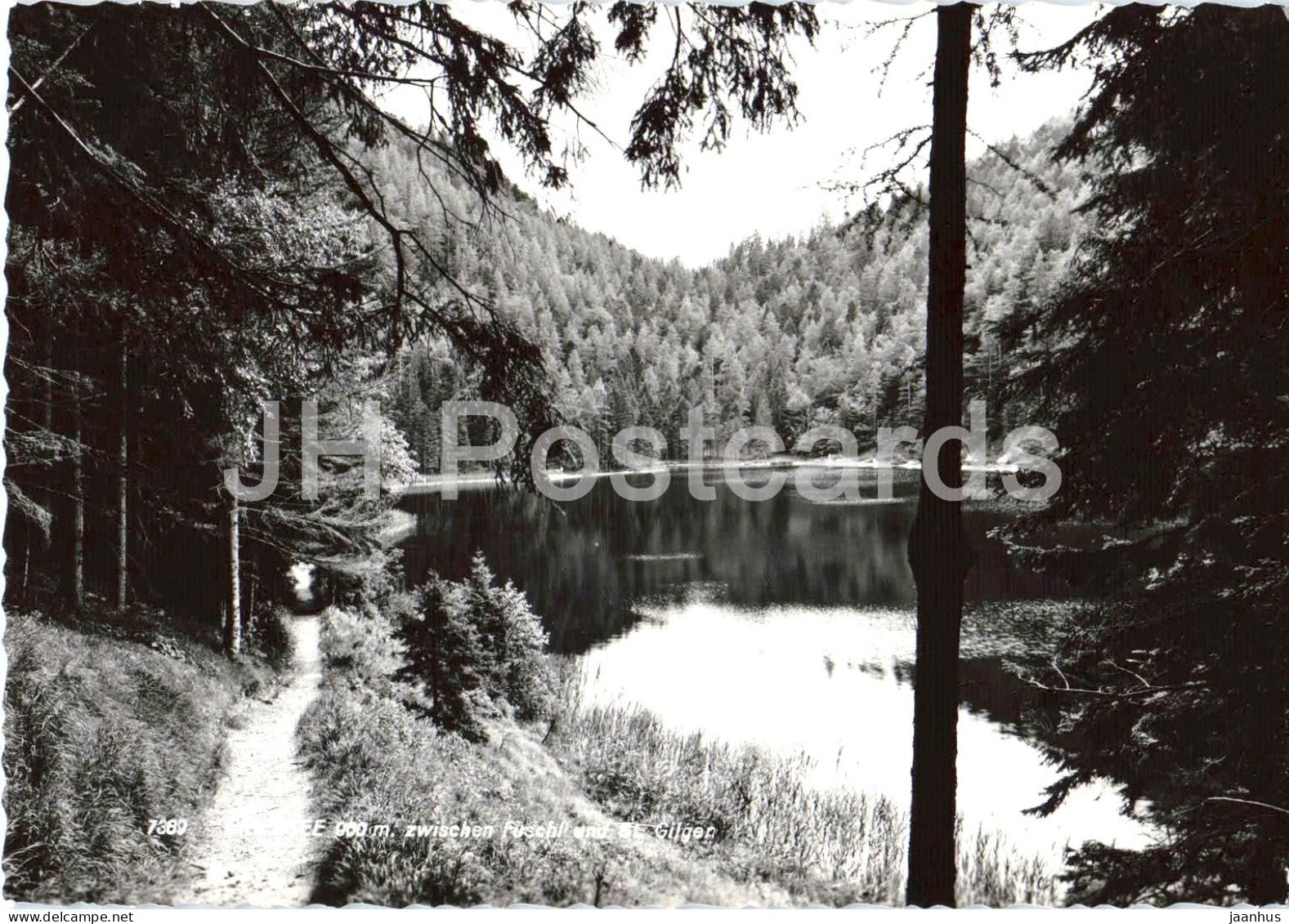 Fuschlsee zwischen Fuschl und St. Gilgen - lake - forest - alpine path - nature - 7389 - old postcard - Austria - unused - JH Postcards