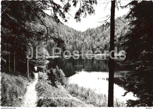 Fuschlsee zwischen Fuschl und St. Gilgen - lake - forest - alpine path - nature - 7389 - old postcard - Austria - unused - JH Postcards