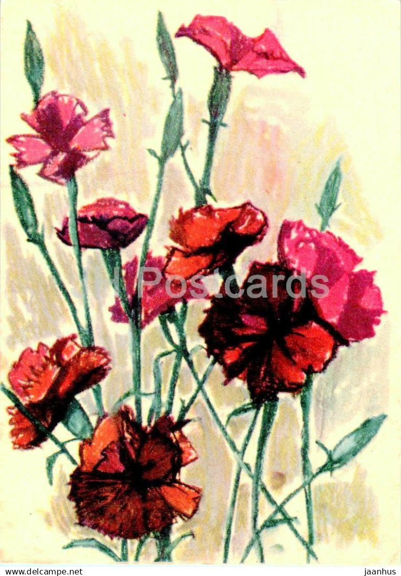 Birthday Greeting Card by O. Subbi - Carnation - red - flowers - illustration - 1962 - Estonia USSR - used - JH Postcards