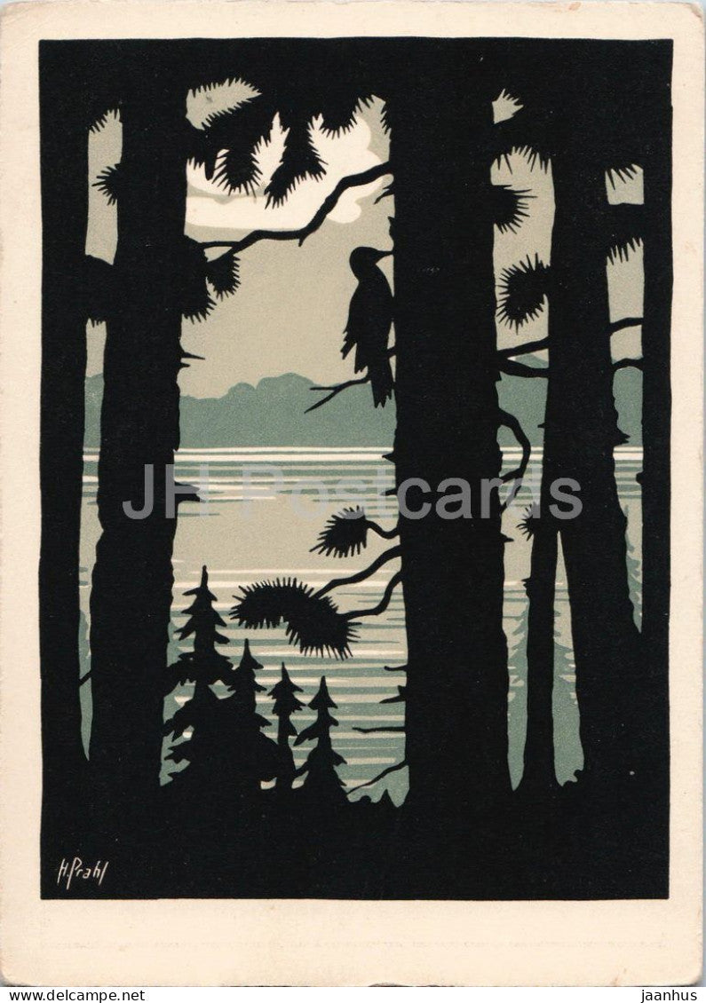 papercut by Hugo Prahl - Woodpecker - Specht - Im Wald und auf der Heide - birds - German art - Germany - unused - JH Postcards