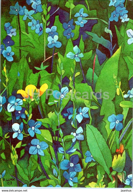 Birthday Greeting Card by R. Lukk - Hepatica - blue - flowers - illustration - 1 - 1985 - Estonia USSR - used - JH Postcards